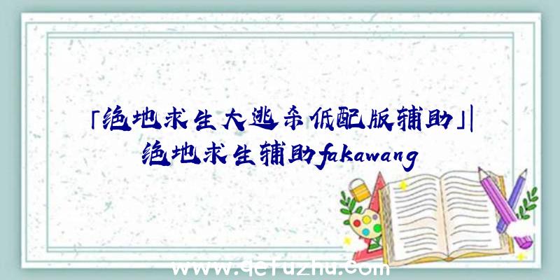 「绝地求生大逃杀低配版辅助」|绝地求生辅助fakawang